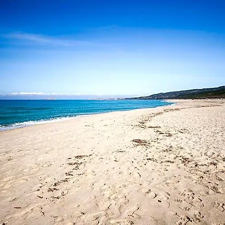 Le Onde